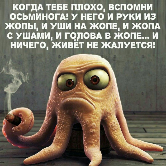 IMG-20180914-WA0000.jpg