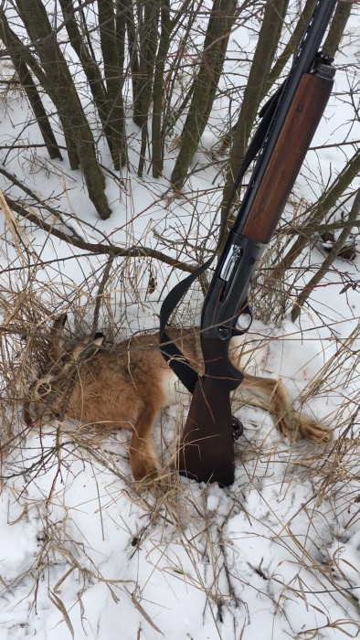 IMG_0023.JPG (428.78 ΠΠ) ΠΡΠΎΡΠΌΠΎΡΡΠΎΠ²: 6113 IMG_0023.JPG