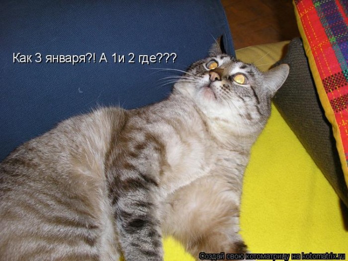 1-2.jpg