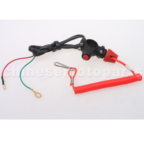 Double-Kill-Switch-for-50cc-250cc-ATV-Dirt-Bike-Go-Kart.jpg