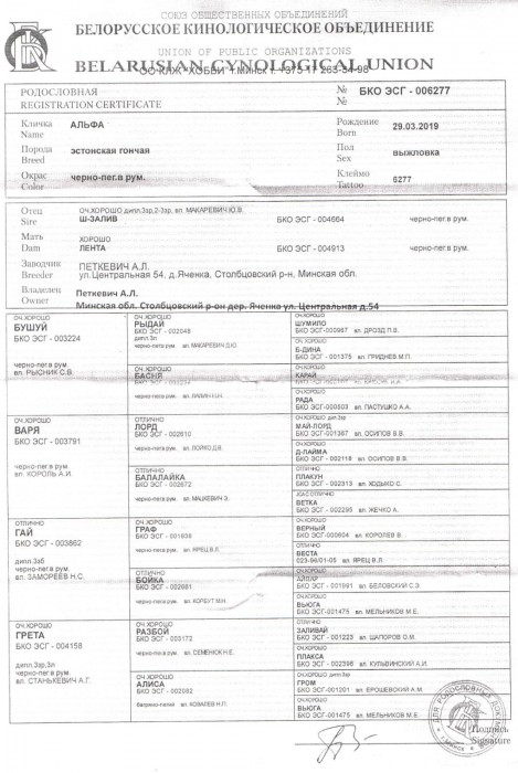 006277_1.jpg (220.74 КБ) Просмотров: 9454 006277_1.jpg