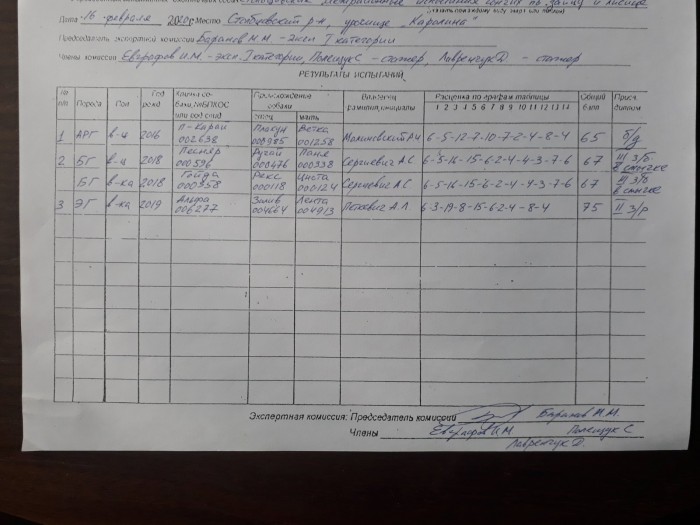 006277_p1.jpg (246.04 КБ) Просмотров: 8138 006277_p1.jpg