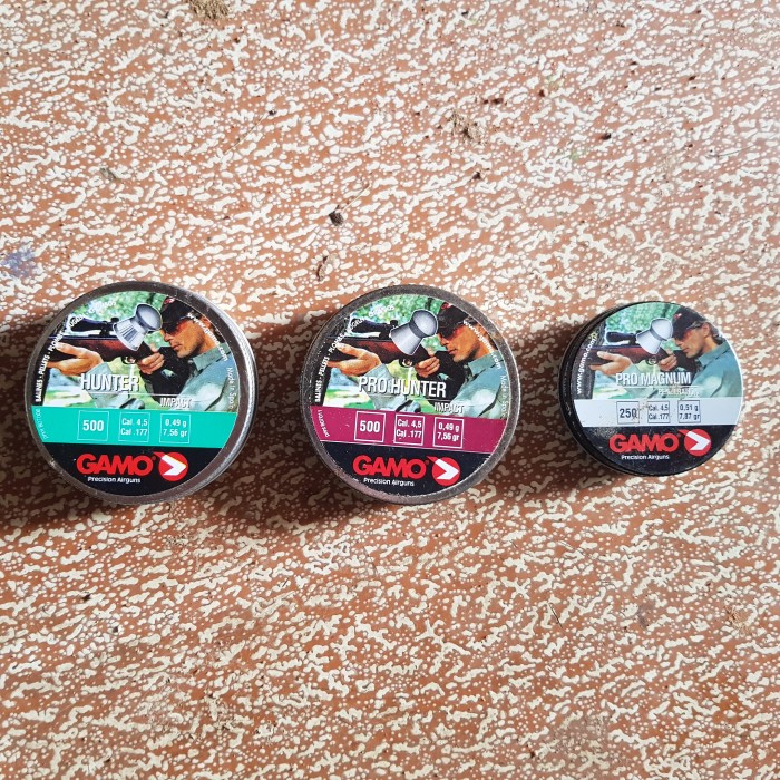 20190919_124033.jpg