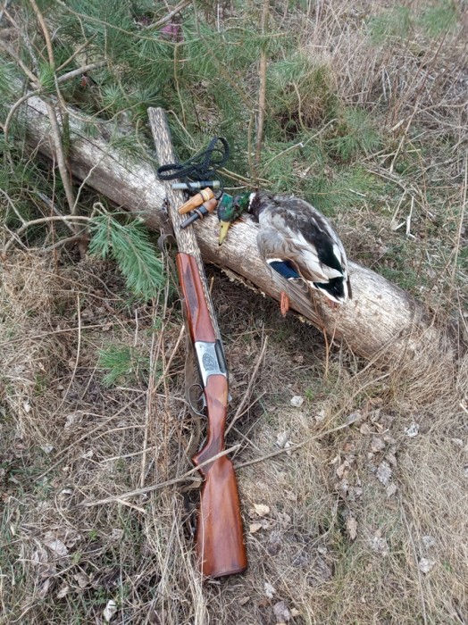 IMG_20200418_183808.jpg (487.7 КБ) Просмотров: 11814 IMG_20200418_183808.jpg