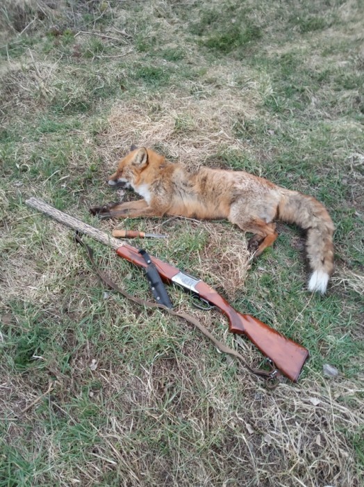 IMG_20200418_201050.jpg (441.13 КБ) Просмотров: 11801 IMG_20200418_201050.jpg