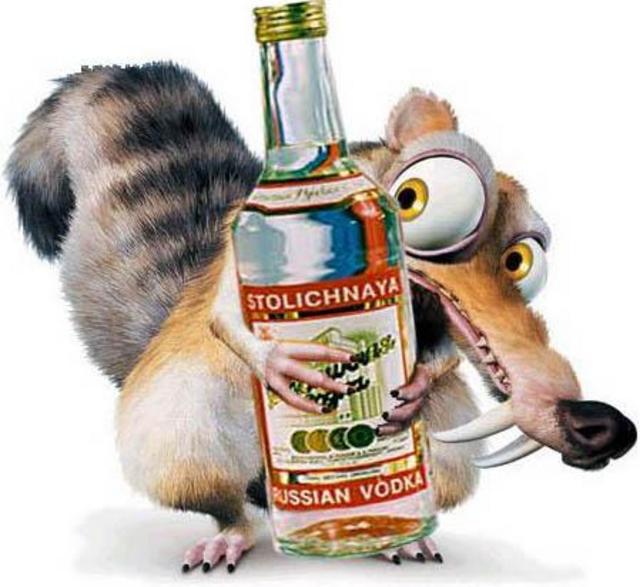 белочка.jpg