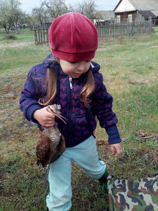 IMG_20200505_111954.jpg (2.76 МБ) Просмотров: 13174 IMG_20200505_111954.jpg