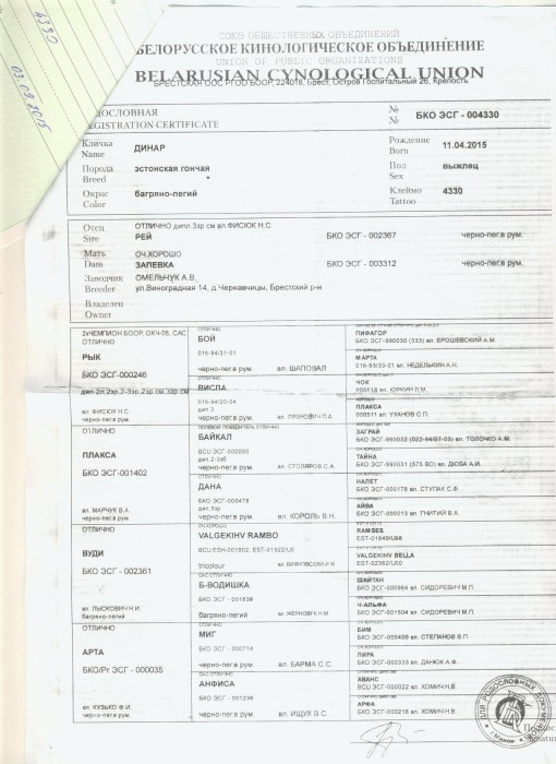 004330_1.jpg (261.31 КБ) Просмотров: 15887 004330_1.jpg