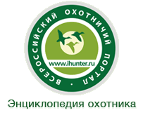 logo2.gif