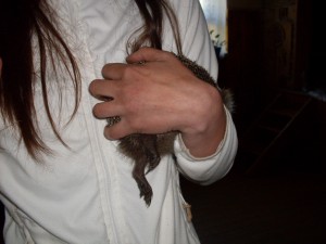 ёжSDC13321.JPG (469.14 КБ) Просмотров: 2035 ёжSDC13321.JPG