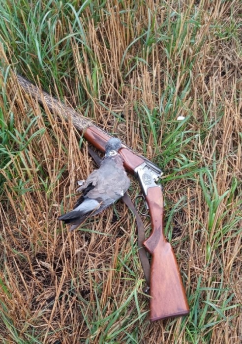 IMG_20200831_113308.jpg (353.81 КБ) Просмотров: 7523 IMG_20200831_113308.jpg