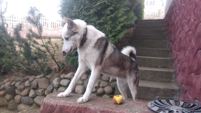 IMG-04220e84ad4472fd6efae3517543bc19-V.jpg (118.38 КБ) Просмотров: 3756 IMG-04220e84ad4472fd6efae3517543bc19-V.jpg