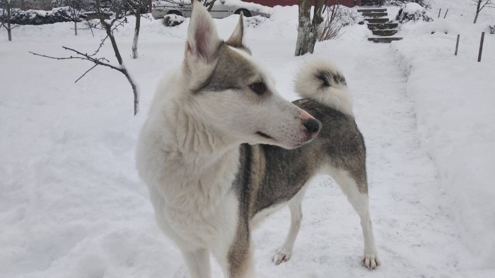 IMG-0a6b8acc2b064b812b660db85e6e00c9-V.jpg (75.69 КБ) Просмотров: 3756 IMG-0a6b8acc2b064b812b660db85e6e00c9-V.jpg