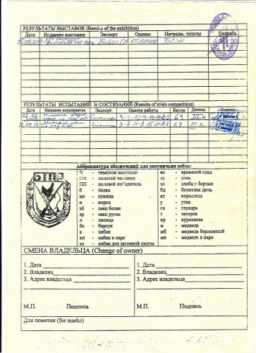 рой 001.jpg