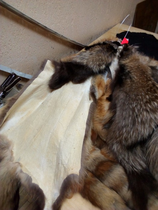 Енот2.jpg (287.85 КБ) Просмотров: 10511 Енот2.jpg