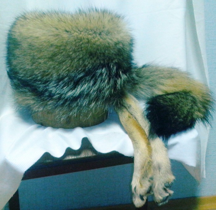 ΠΡΠ±Π°Π½ΠΊΠ°_Π²ΠΎΠ»ΠΊ.jpg (847.59 ΠΠ) ΠΡΠΎΡΠΌΠΎΡΡΠΎΠ²: 4670 ΠΡΠ±Π°Π½ΠΊΠ°_Π²ΠΎΠ»ΠΊ.jpg