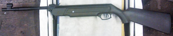 IMG00661.jpg