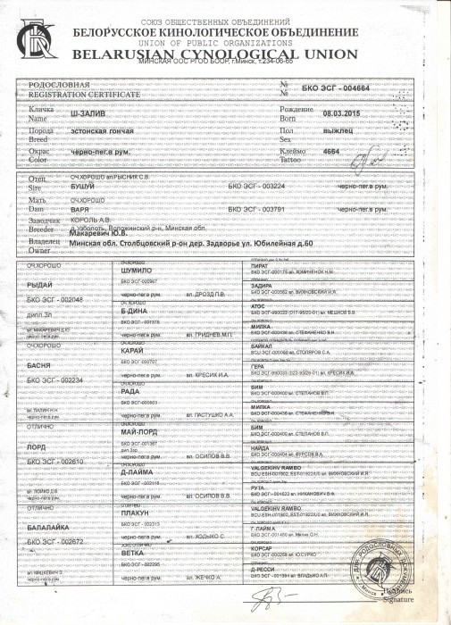 залив_1.jpg (1.16 МБ) Просмотров: 8884 залив_1.jpg