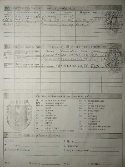 залив_2.jpg (237.43 КБ) Просмотров: 8884 залив_2.jpg