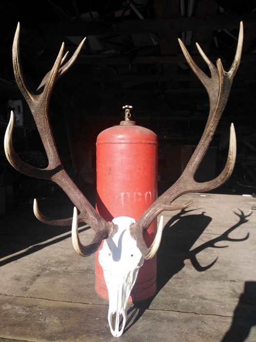 -d5qCcEpoZw.jpg (254.43 КБ) Просмотров: 2725 -d5qCcEpoZw.jpg