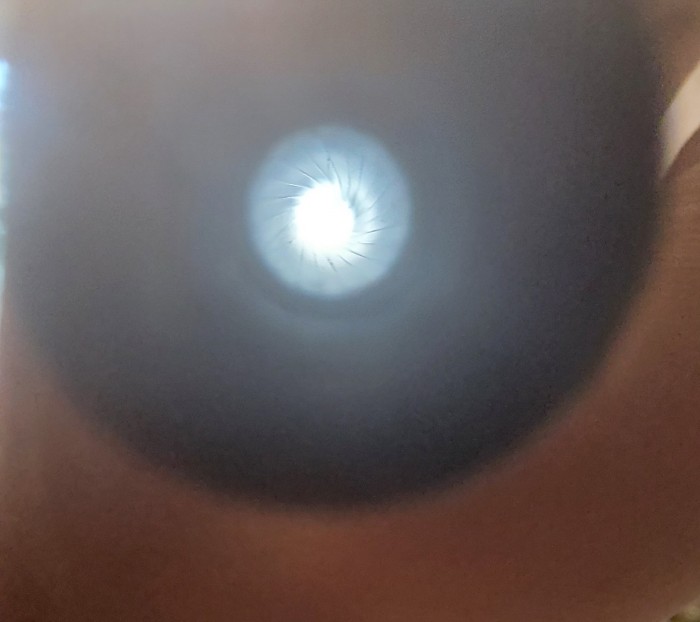 20220905_173224.jpg