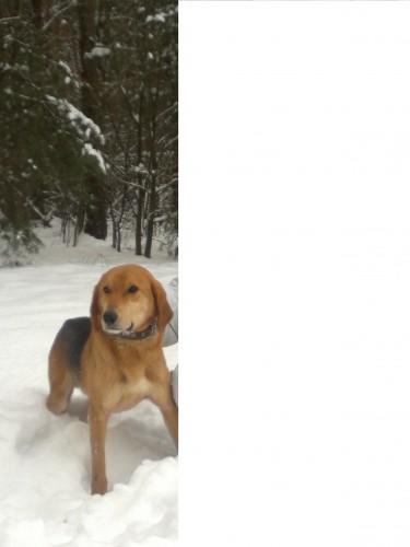 2012-12-23-021.jpg (705.02 КБ) Просмотров: 1306 2012-12-23-021.jpg