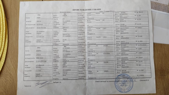 Заливай2.jpg (307.51 КБ) Просмотров: 44557 Заливай2.jpg