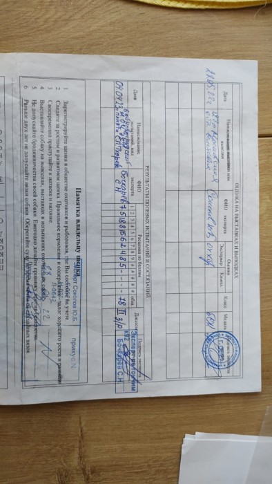Заливай3.jpg (162.78 КБ) Просмотров: 44557 Заливай3.jpg
