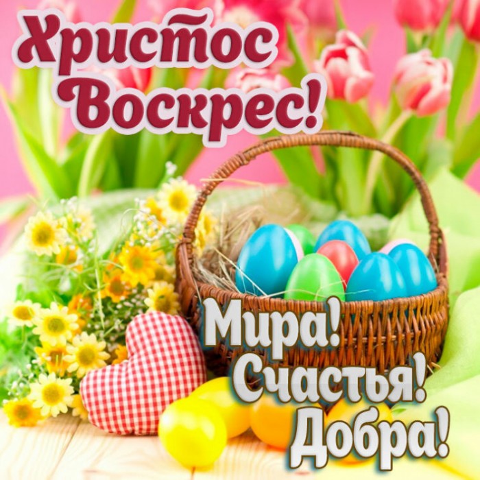 IMG_7156.jpeg
