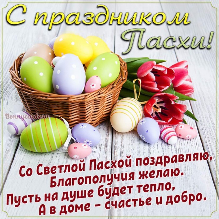pasha0057.jpg