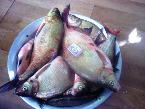 C360_2013-07-05-08-43-37 777.jpg