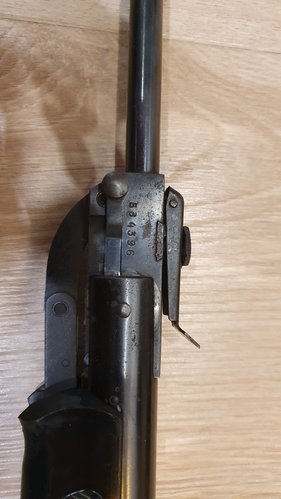 20240304_181157.jpg