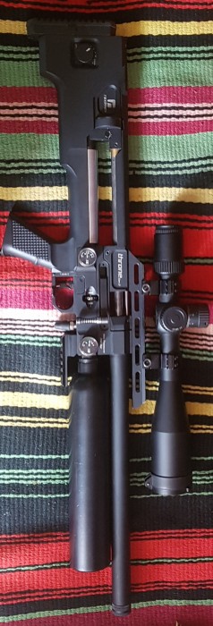 20240720_120125.jpg
