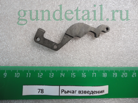 large_DSC02714.png
