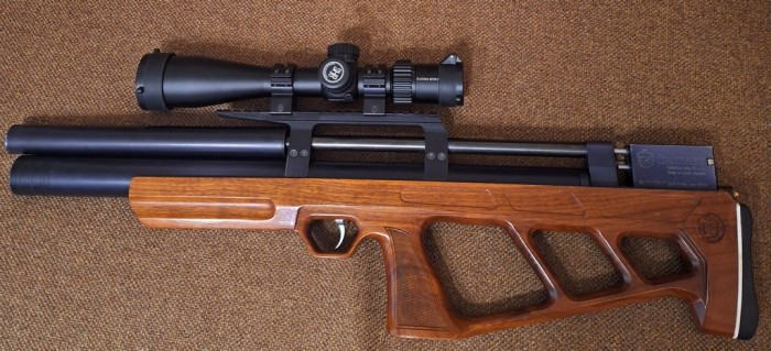 Criket001.jpg