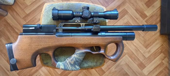 20260314_093038 (Medium).jpg