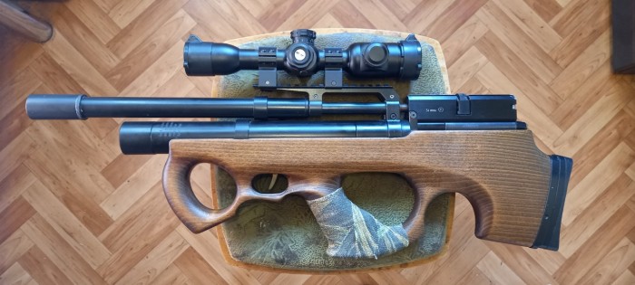 20260314_093100 (Medium).jpg