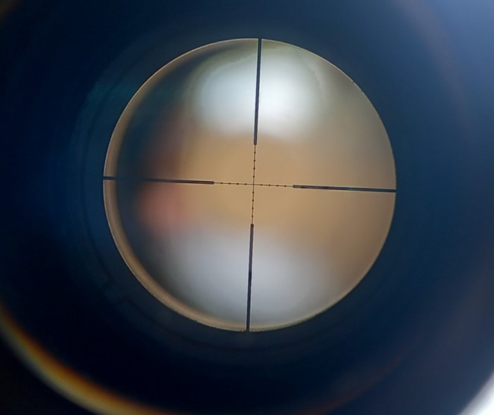 20260314_095557 (Medium).jpg