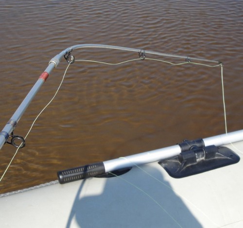 сомяры спин.jpg (116.35 КБ) Просмотров: 13658 сомяры спин.jpg