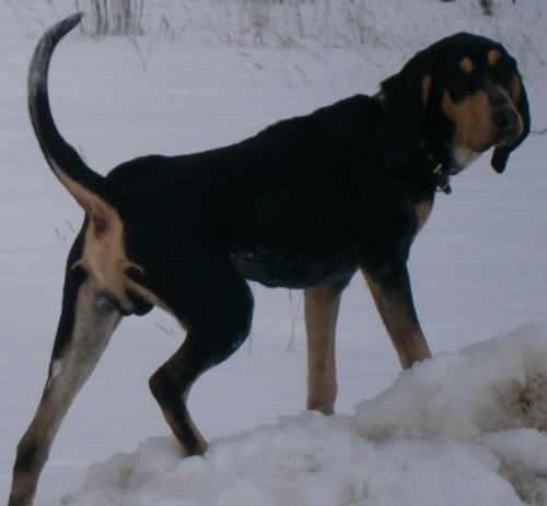 1.jpg (677.6 КБ) Просмотров: 2595 1.jpg