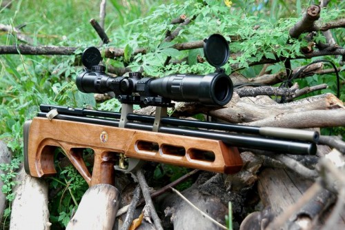 bullpup16eg9.jpg