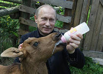 путин.jpeg