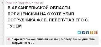 лже гусак.jpg