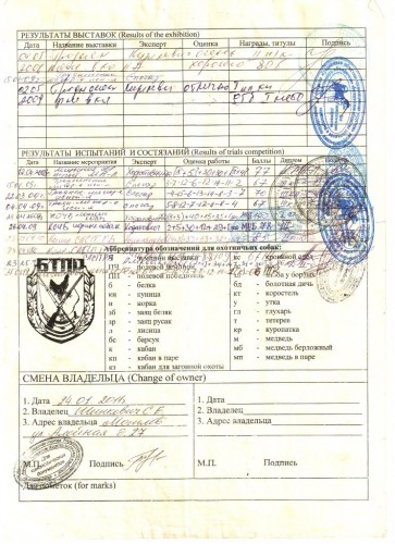 мать2.jpg