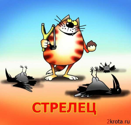 1238575991_znaki_05.jpg