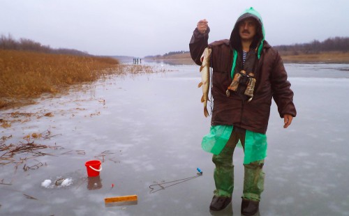 щука Кайкулака.jpg