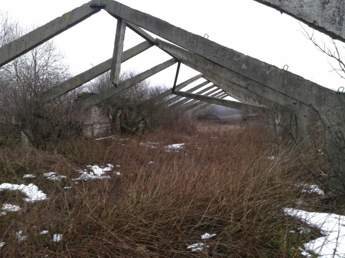 20140112_104231.jpg