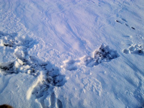 YP20140119103154.jpeg