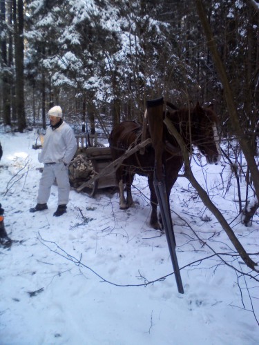 YP20140119133844.jpeg