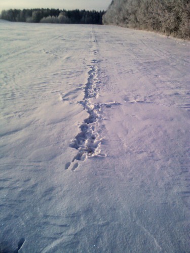 YP20140119103812.jpeg